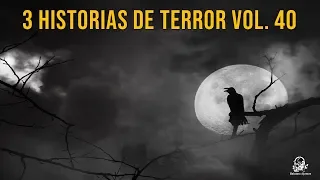 3 Historias De Terror Vol. 40 (Relatos De Horror)