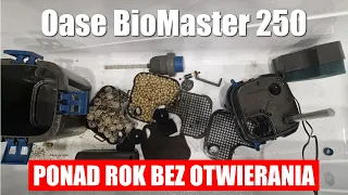 Otwarcie Oase BioMaster 250 Thermo po ponad roku  -Test