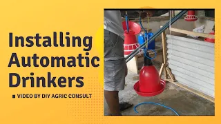 How to Install Deluxe Automatic Drinker for Chickens