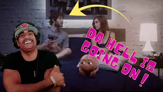 FIRST TIME REACTING TO Lil Dicky - Pillow Talking feat. Brain (Official Music Video)