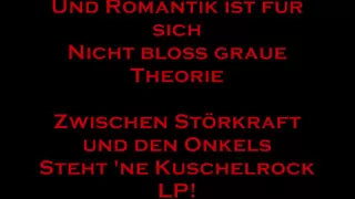 Die Ärzte - Schrei Nach Liebe (with Lyrics)