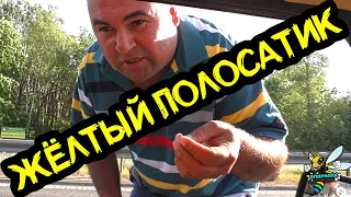 Обочечники 35 ⛔ Крузак и Четвёрка щемят рой бидрилл 🐝