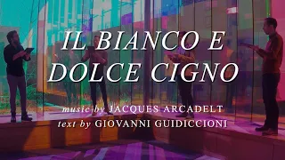 CANTUS: Il bianco e dolce cigno by Jacques Arcadelt