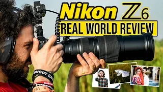 Nikon Z6 Real World Review (vs Sony a7 III vs Canon EOS R: should they be worried?)