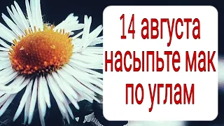 14 августа насыпьте мак по углам. | Тайна Жрицы |