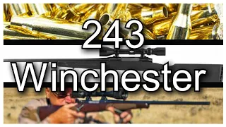 A Brief Discussion On The 243 Winchester Cartridge