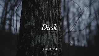 playlist I LoFi Dusk / Experience tranquility with soothing lo-fi tracks.