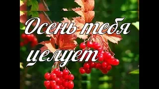 Пусть Осень Тебя Целует Нежно. Пожелания 😘🌷 Красивая музыкальная открытка.