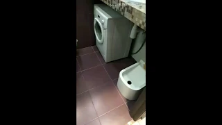 Автоматический туалет для кошек. Установка.