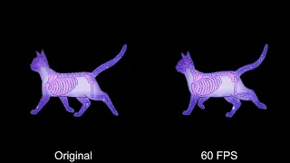 Turning Hand Drawn Animations to 60 fps with AI