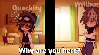 🔥 || "Why are you here?" [meme] || Dsmp/Mcyt || 💛💙 || Quackbur || ft.DNF、Ningyan team || Gacha Club