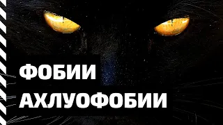 Фобия. Ахлуофобии — боязнь темноты и айлурофобия — боязнь черных кошек