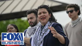 I'll tell everything you need to know about Rashida Tlaib: Lee Zeldin