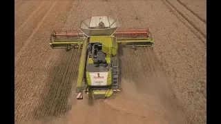 Презентація комбайнів LEXION 770 TERRA TRAC придбаних компанією "Контінентал Фармерз Груп".