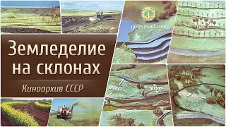 Земледелие на склонах! Киноархив СССР (Удержание воды, no-till, ветрозащита, мелиорация и др)