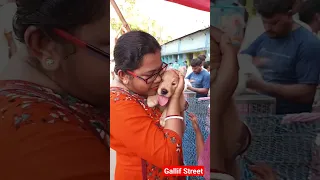 galiff street pet market | dog market Kolkata #shrots #dog #petmarket #galiffstreet