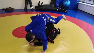 BJJ Lapel Choke from turtle Удушающий из позиции черепаха