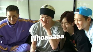 WINNER's Four Pets Everyday | Episode 6 "This is what you call a girl's jealousy.."