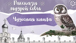 Православный рассказ для детей «Чудесная книга»