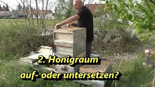 2. Honigraum auf- oder untersetzten?