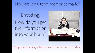 The Neuroscience of Performing from Memory Part I