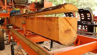 Dangerous Idiots Tree Felling Fails With Chainsaw ! Modern Technology Wood Cutting Machinery