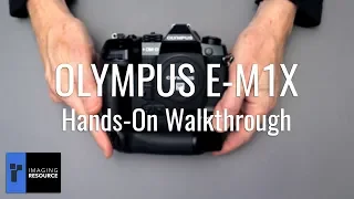 Olympus E-M1X Preview - Who needs full-frame?