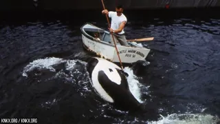 10 Scary Things SEAWORLD Doesn't Want You To Know!