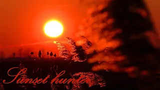 Beautiful sunset with teasels and reeds - 2024/30 (Sunset hunter)