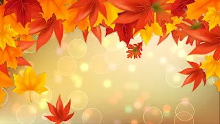 Autumn background - maple leaves - autumn