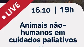 Animais não-humanos em cuidados paliativos