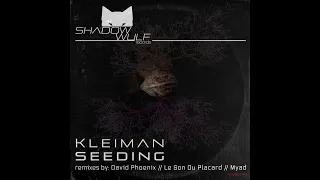 Kleiman - Seeding (David Phoenix Remix)