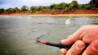 Golden Dorados in Argentinien angeln!