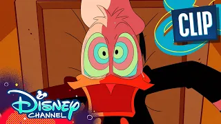 Why Donald Duck is Always Mad 😤 | DuckTales | Disney Channel