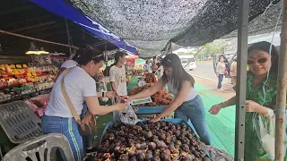 Giant Fresh Durian Fruit in Thailand Street Food
