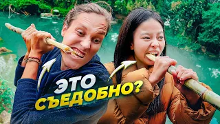 Как Едят Тростник в Китае АВТОДОМ #9