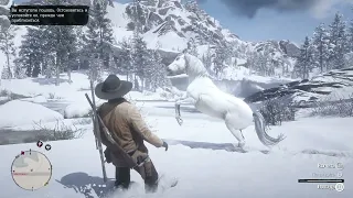 rdr2 white arabian location