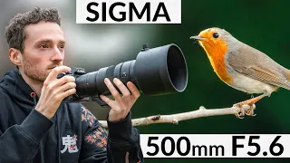 Test Sigma 500mm F5.6 DG DN - Le plus LÉGER !