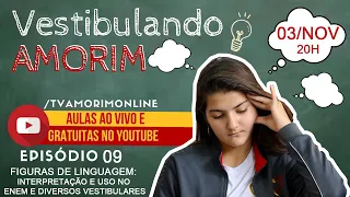 FIGURAS DE LINGUAGEM, INTERPRETAÇÃO E USO - VESTIBULANDO AMORIM - EP 09