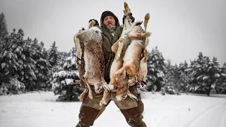 THIS HARE HUNT WILL BE REMEMBERED FOR YOUR WHOLE LIFE!!! Hare hunting with hounds