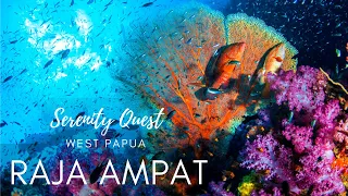 RAJA AMPAT︱THE BOUNTIFUL KINGDOM︱WEST PAPUA - INDO PACIFIC OCEAN  BEST DIVING︱4K VIDEO