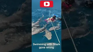 Shark Attack Maldives #shorts