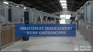 Minute Santé Boehringer - Objectifs et déroulement d'une gastroscopie