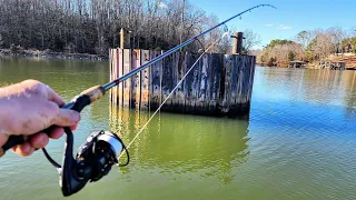 Fishing For My Lunch!! (Weirdest meal of my life)