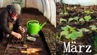Garten im März | Welche Saaten sind gekeimt?