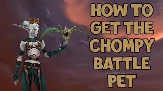 WoW Shadowlands 9.1 - How To Get The Chompy Battle Pet | Korthia