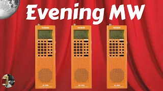 Tecsun PL-368 Shortwave SSB Radio Evening MW