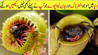 Most Dangerous Carnivorous Plants in the World In Hindi/Urdu