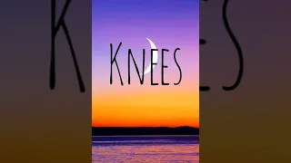 Bebe Rexha - Knees 1 hour loop