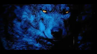 KAAZE & Sam Tinnesz feat. Silverberg - Wolves